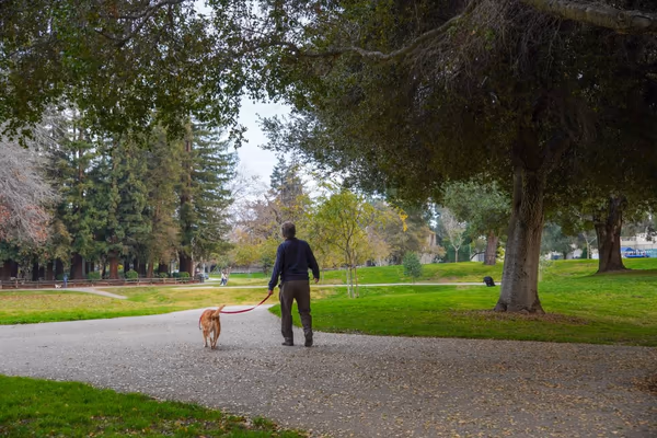 Dog Park at Los Altos Park photo 1